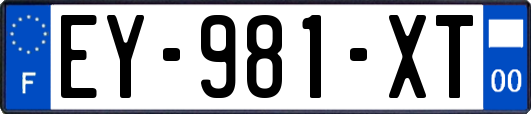 EY-981-XT