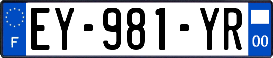 EY-981-YR