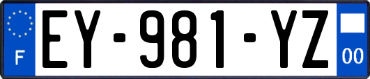EY-981-YZ