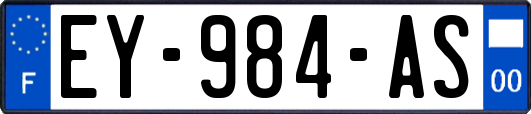 EY-984-AS