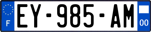 EY-985-AM