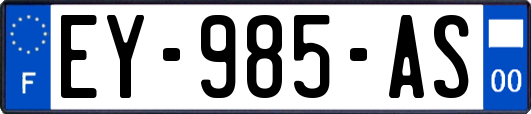 EY-985-AS