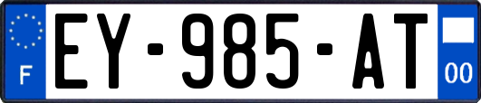 EY-985-AT