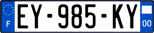 EY-985-KY