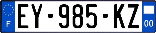 EY-985-KZ