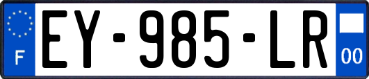 EY-985-LR