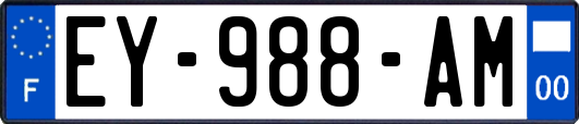 EY-988-AM