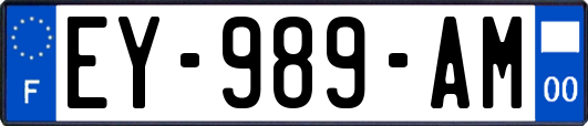 EY-989-AM