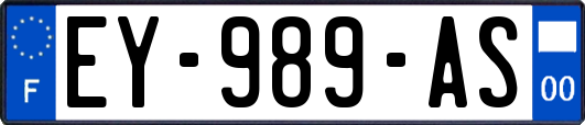 EY-989-AS