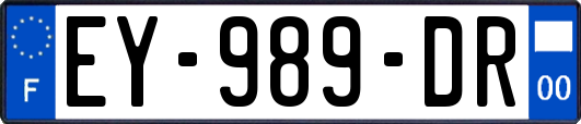 EY-989-DR