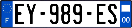 EY-989-ES