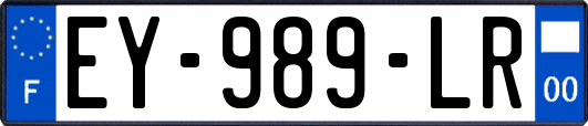 EY-989-LR