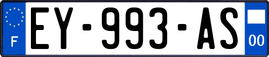 EY-993-AS