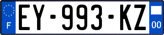 EY-993-KZ