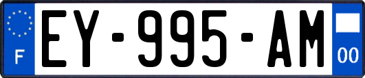 EY-995-AM