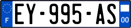 EY-995-AS