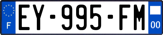 EY-995-FM