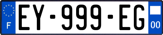 EY-999-EG