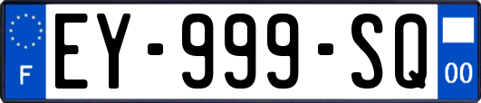 EY-999-SQ