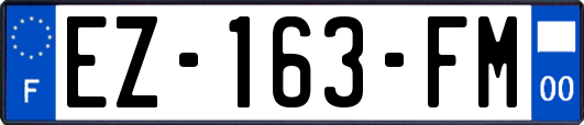 EZ-163-FM