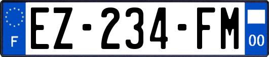 EZ-234-FM