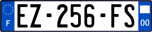 EZ-256-FS