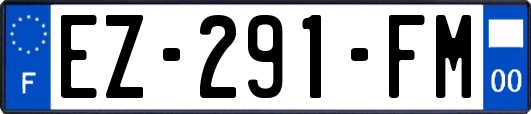 EZ-291-FM