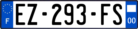 EZ-293-FS