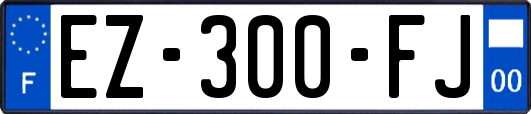 EZ-300-FJ