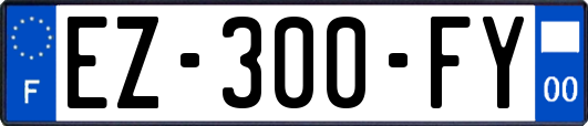 EZ-300-FY