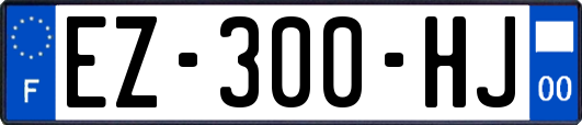 EZ-300-HJ