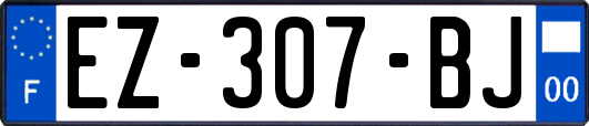 EZ-307-BJ