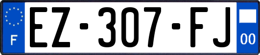 EZ-307-FJ