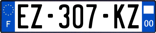 EZ-307-KZ