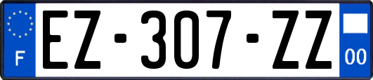 EZ-307-ZZ