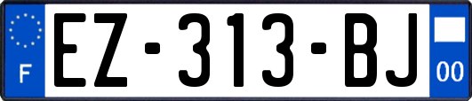 EZ-313-BJ