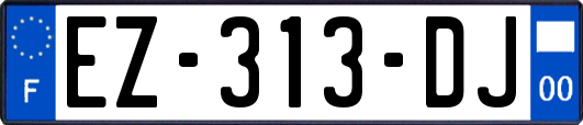 EZ-313-DJ