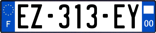 EZ-313-EY