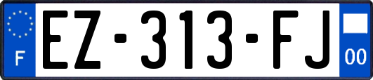 EZ-313-FJ