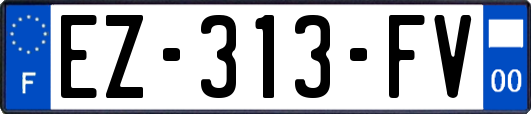 EZ-313-FV