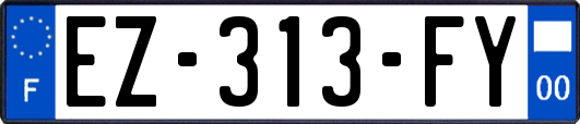 EZ-313-FY