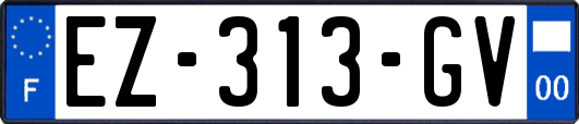 EZ-313-GV