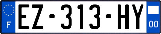 EZ-313-HY