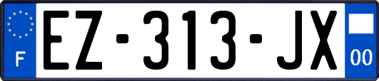 EZ-313-JX