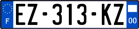 EZ-313-KZ