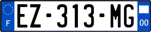 EZ-313-MG