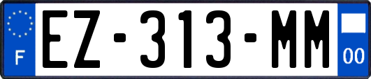 EZ-313-MM