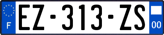 EZ-313-ZS