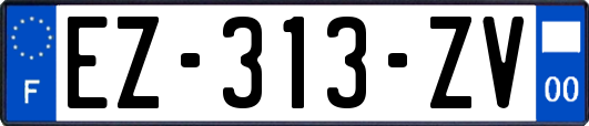 EZ-313-ZV