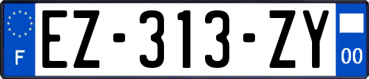 EZ-313-ZY